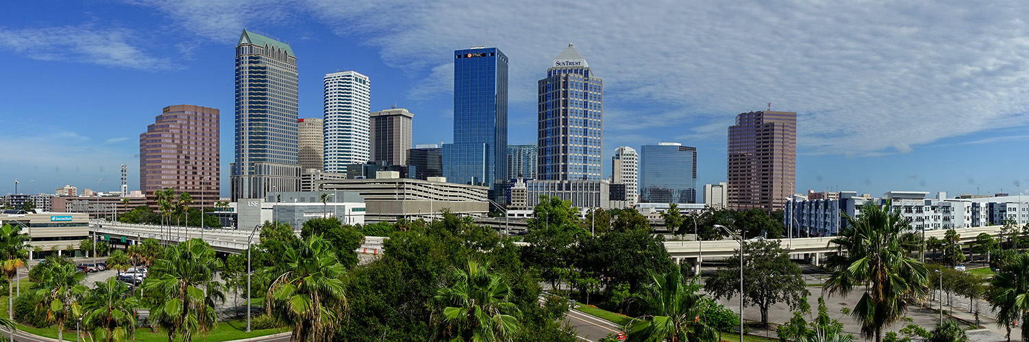 Banner image of Tampa
